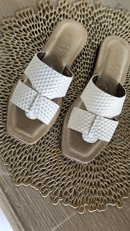 Leidy